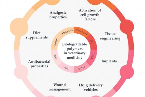 Biodegradable Polymers in Veterinary Medicine—A Review