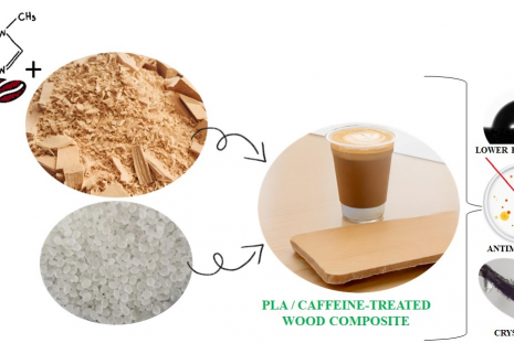 Enhancing Sustainability and Antifungal Properties of Biodegradable Composites: Caffeine-Treated Wood as a Filler for Polylactide